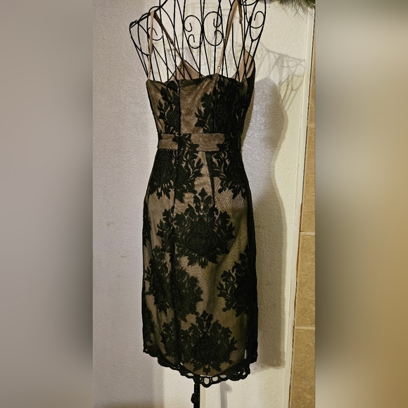 Forever 21 Black Lace and Mesh Cocktail Dress - Picture 3 of 7